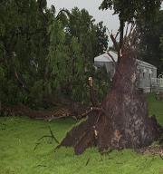 damage near Utica