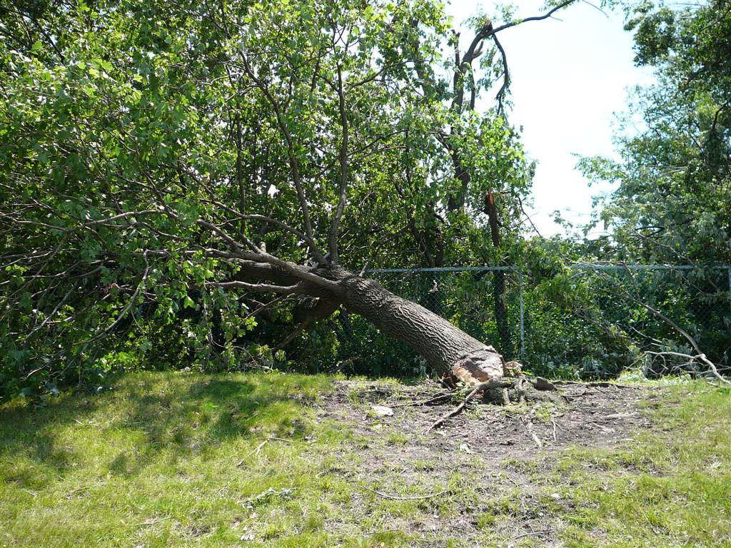Oak Brook Storm Damage