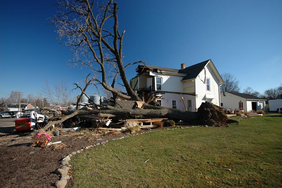 Large tree and house damage (Caledonia)
