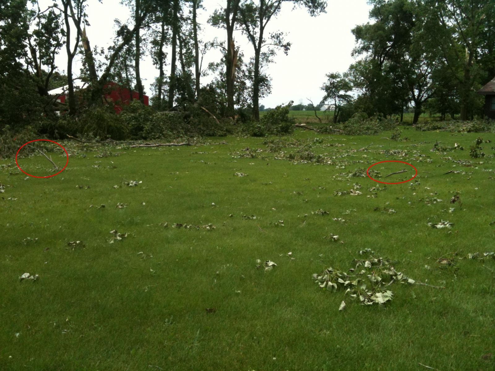 Extensive damage and branches speared in ground in convergent pattern