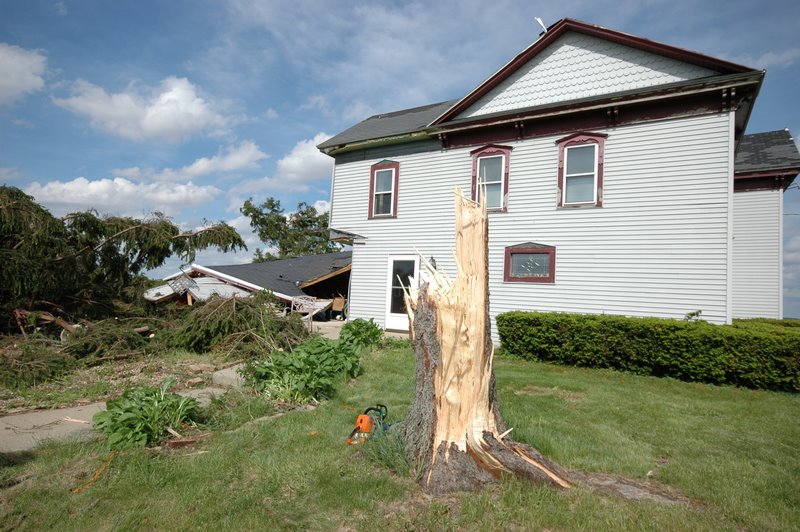 Tree, house, and outbuilding damage along Daisy Road.