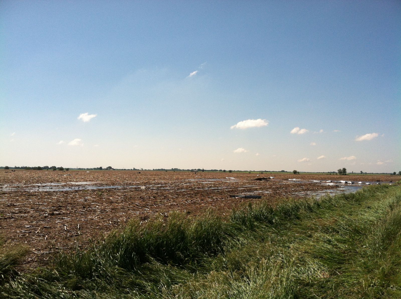 Debris in adjacent field.