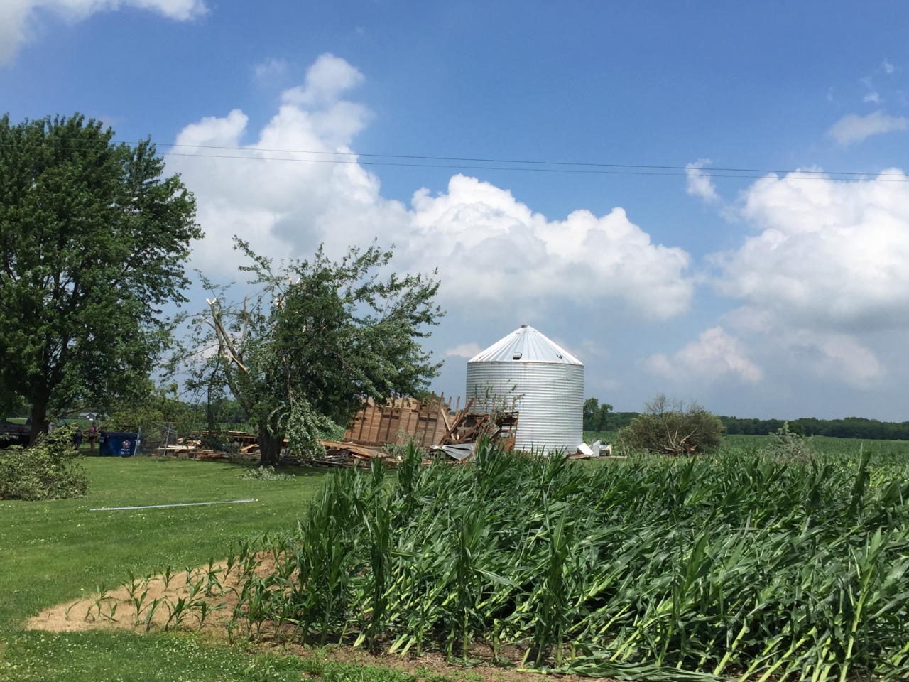 Crops flattened 3 miles NE of Mazon