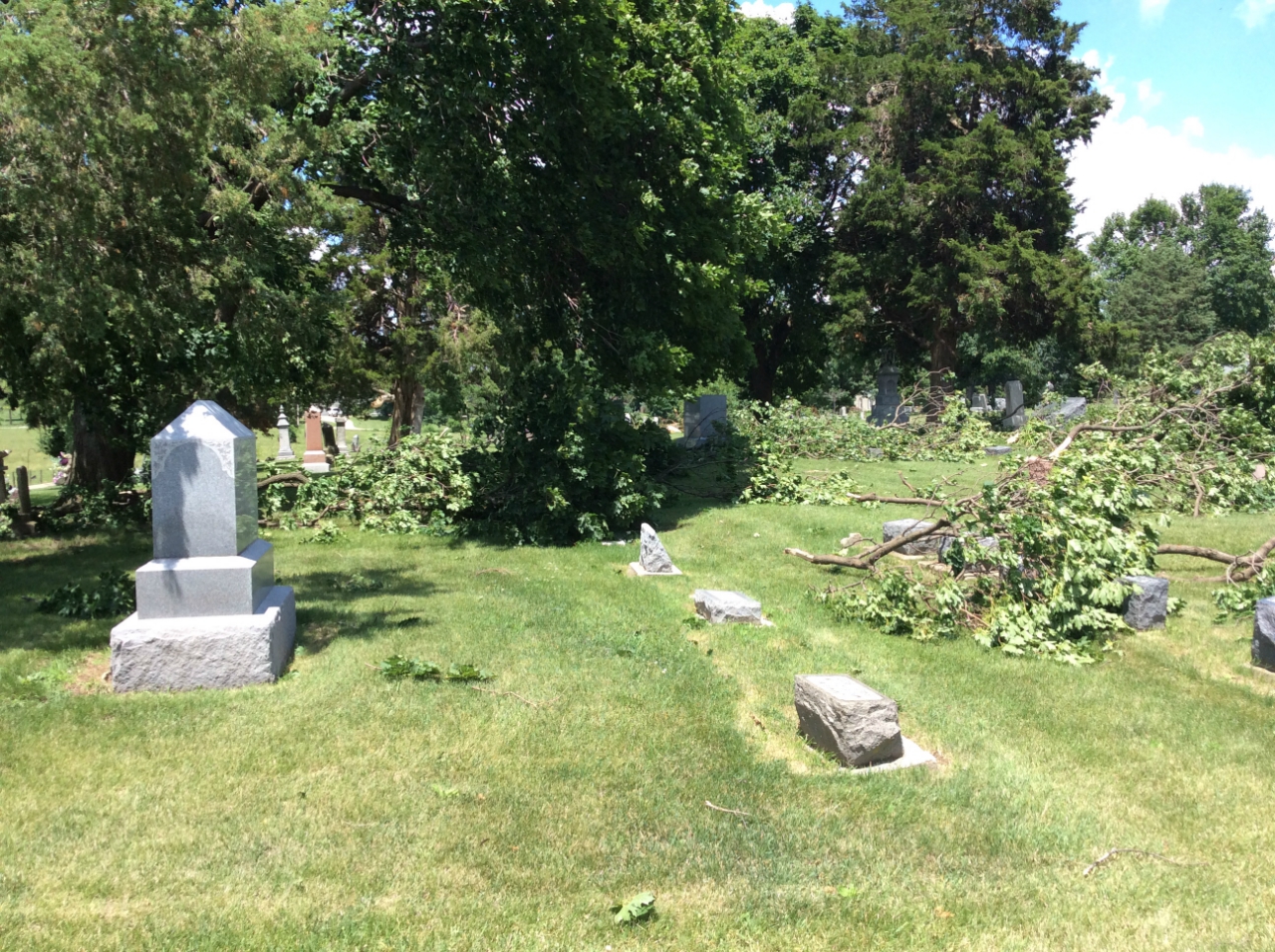 Trees down in cemetary just south of Troy Grove